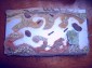 4 soap sampler 4 soap sampler